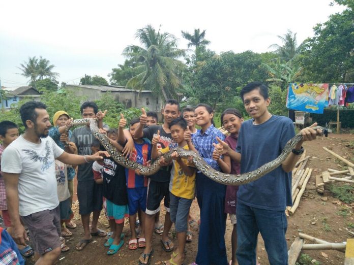 Ular Masuk Pemukiman Warga