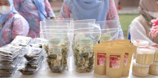 Pemkot Tangerang Kenalkan Hasil Panen dan Produk KWT ke Masyarakat