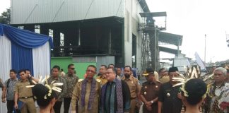 Transisi energi tanpa mengorbankan hutan Kalimantan