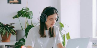 5 Alasan Tanaman Monstera Menjadi Pilihan Utama untuk Dekorasi Kantor