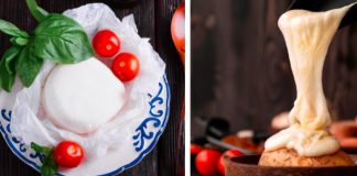 Burrata vs Mozzarella, Apa Bedanya dan Mana yang Lebih Enak?