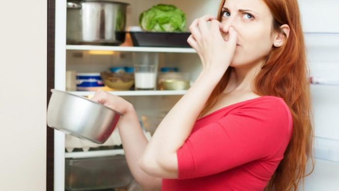 hindari-meletakkan-5-makanan-ini-di-pintu-kulkas-bisa-bikin-cepat-basifoto-freepikbearfotos-1761114366081_169