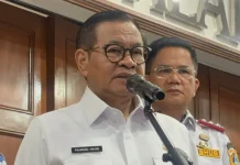 Pemprov DKI tanggung korban akibat pohon tumbang