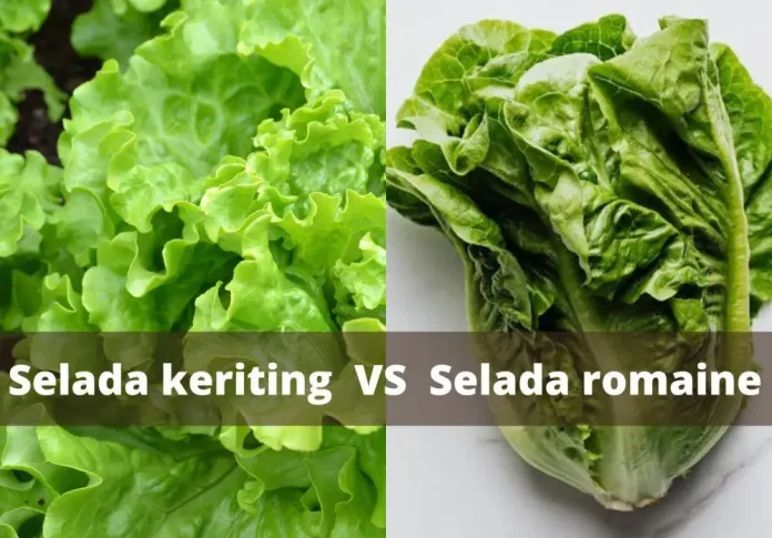 template-cover-artikel-9-bbd6850de13232bd0316f7a73ada457d