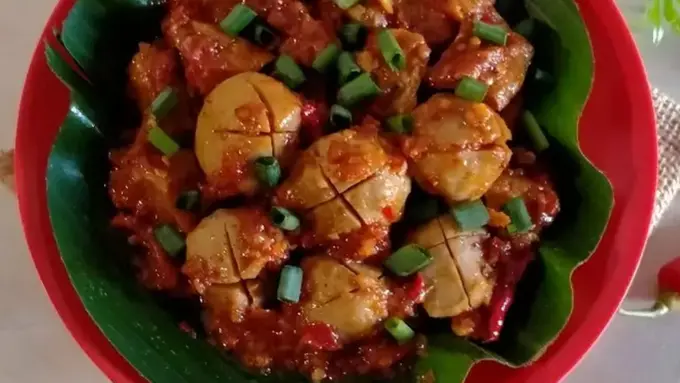 033390500_1637244138-1