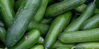 Paling Sering Dibuang, Ternyata Ini 7 Manfaat Kulit Mentimun untuk Tubuh