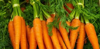 Unik! 7 Makanan Ini Bisa Mengubah Warna Kulit Kalau Dikonsumsi Berlebihan