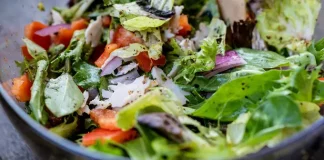 Resep Salad Teff Segar dengan Lemon Dressing yang Cocok untuk Clean Eating