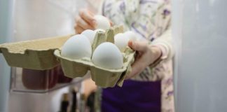 Berapa Lama Telur Rebus Tahan Disimpan di Kulkas? Ini Penjelasannya