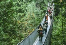 7 Rekomendasi Tempat Trekking Dekat Jakarta, Seru dan Menantang!
