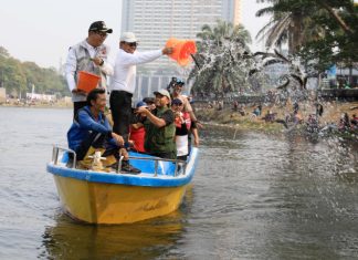 Mancing Bareng di Situ Gede, Sachrudin Tebar 1 Ton Ikan Lele