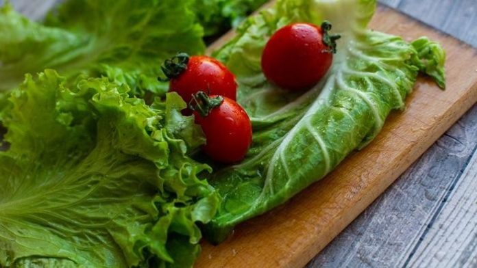 makanan-kaya-air-yang-dapat-membantu-mencegah-dehidrasi-foto-pexelscomvikaemerson-1785488135631_169